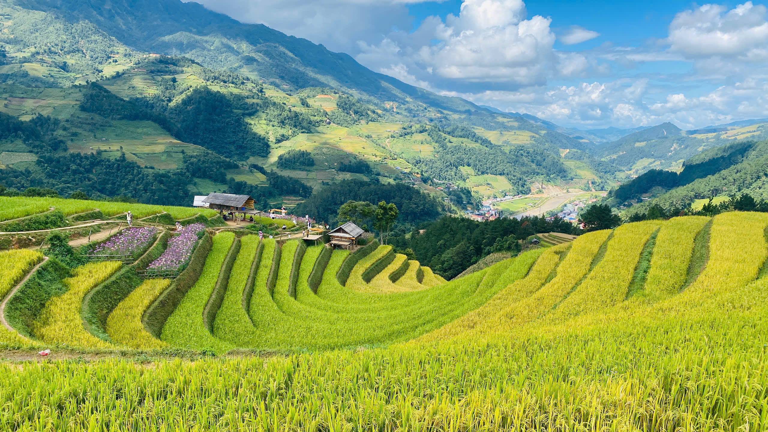 Canh tác ruộng bậc thang gắn với phát triển du lịch  ​