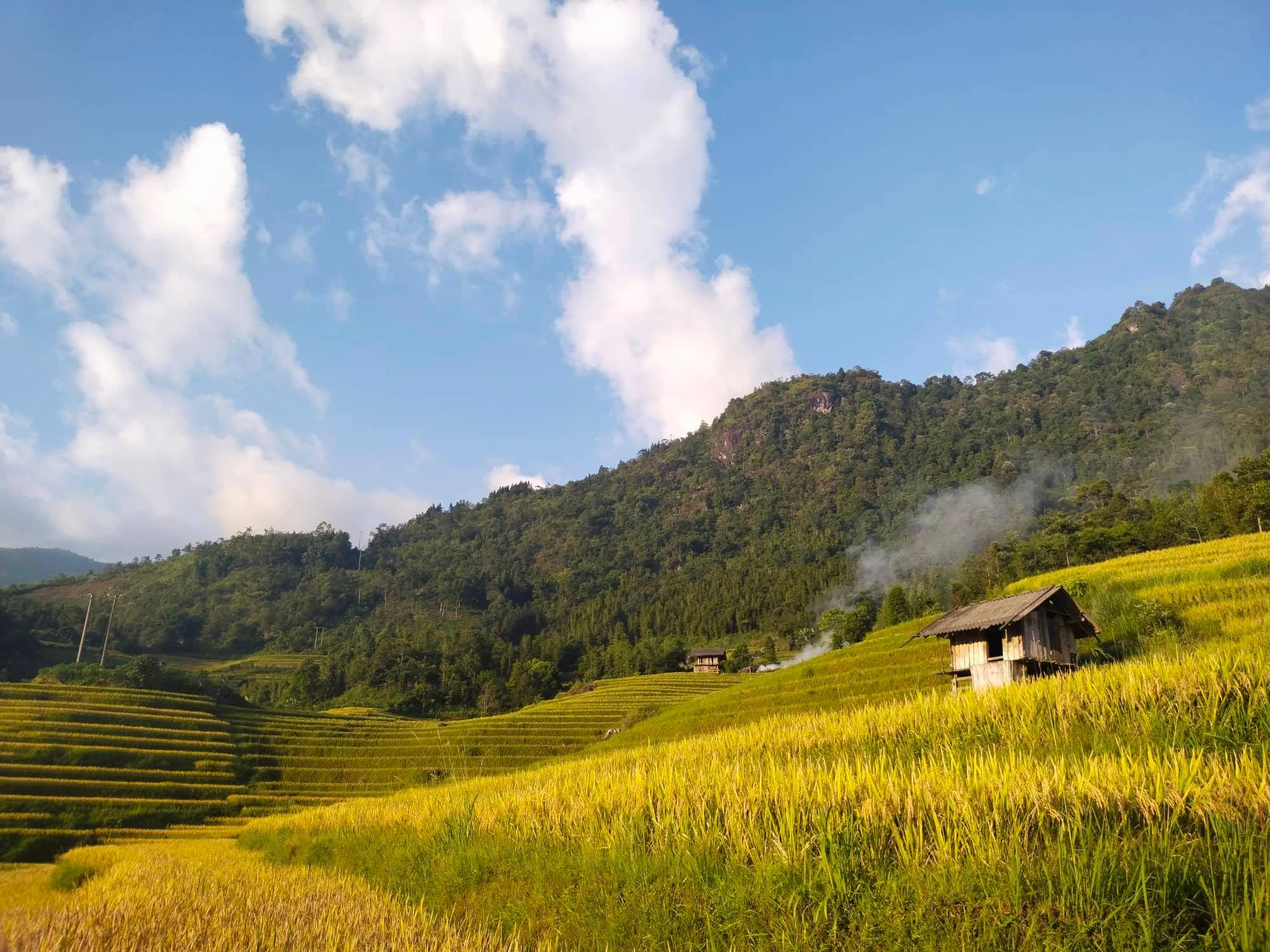 Xã Mường Bo (Lào Cai) canh tác ruộng bậc thang gắn với phát triển du lịch  ​