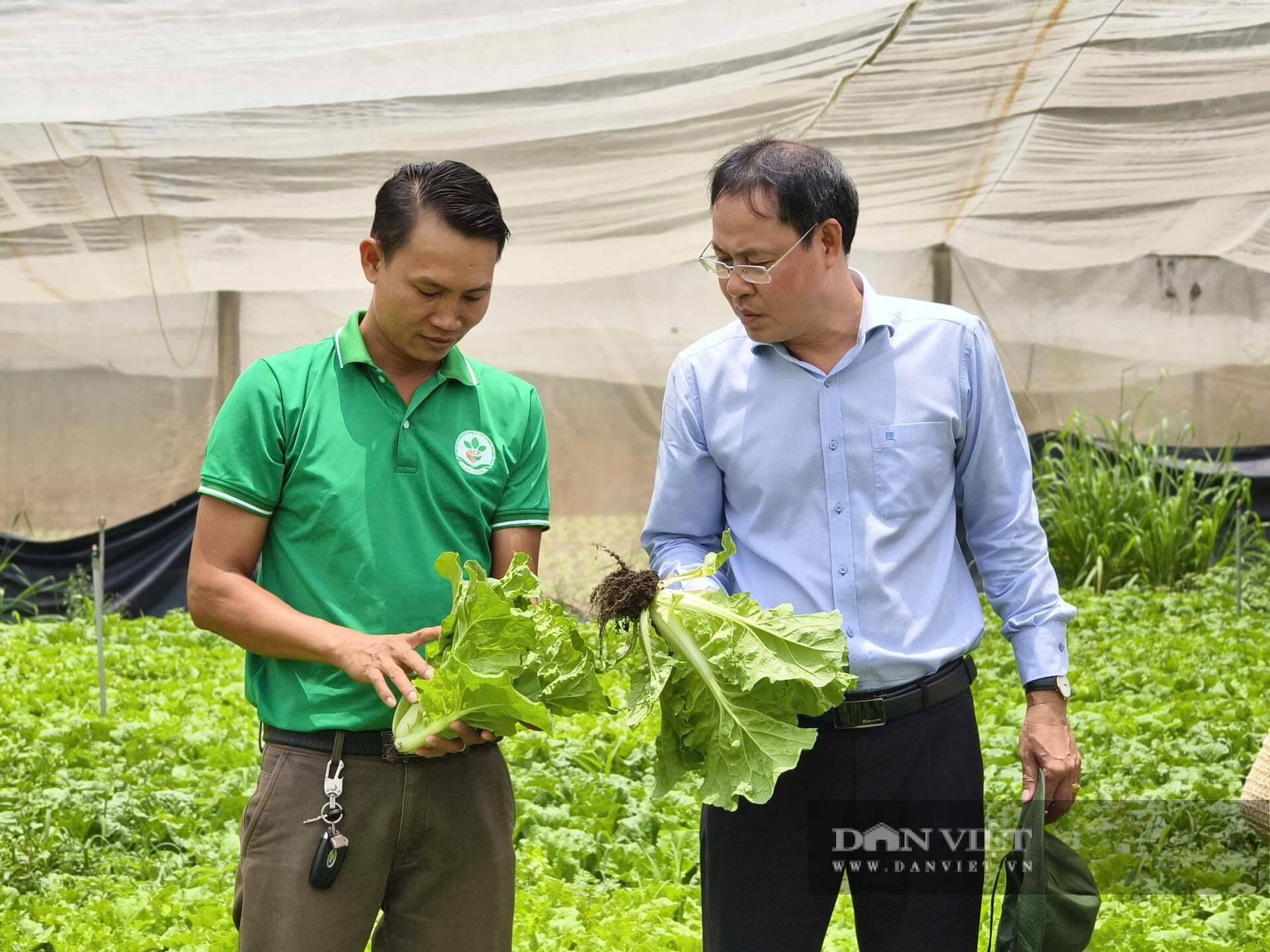 Trong năm nay, gần 2.000 lao động nông thôn của TP.HCM được đào tạo nghề nông nghiệp 