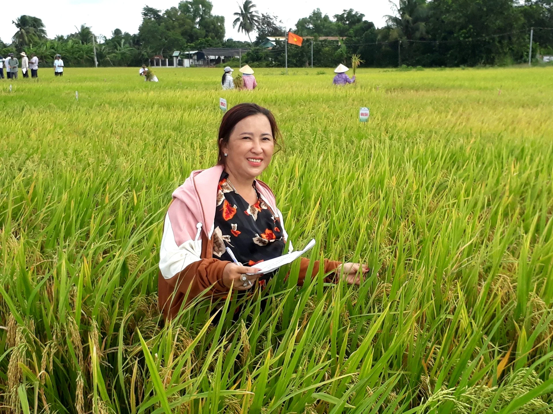 Anh-tin-bai