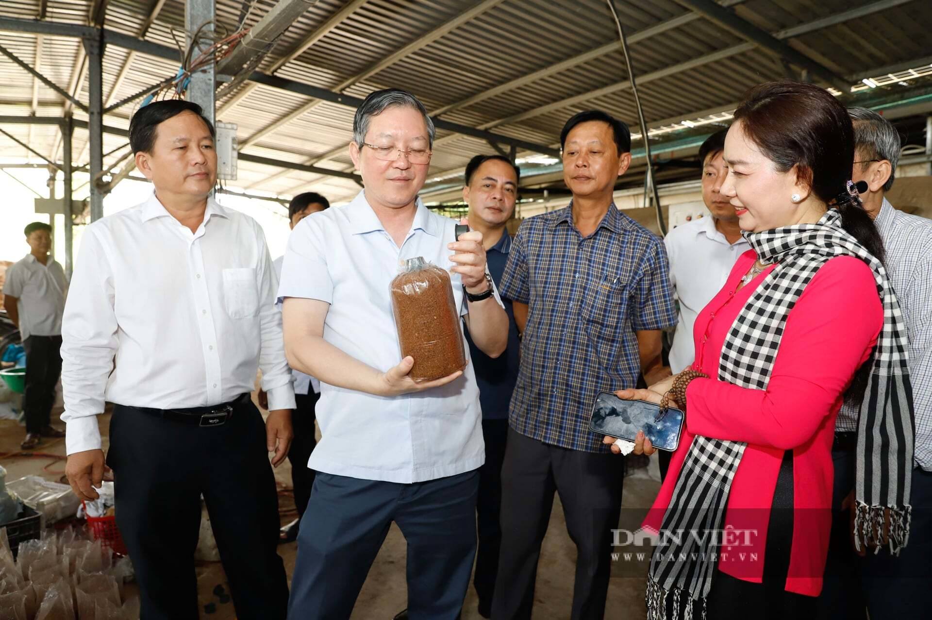 Hội Nông dân Việt Nam ban hành hướng dẫn thực hiện tiêu chí hộ nông dân sản xuất, kinh doanh giỏi trong xây dựng nông thôn mới 