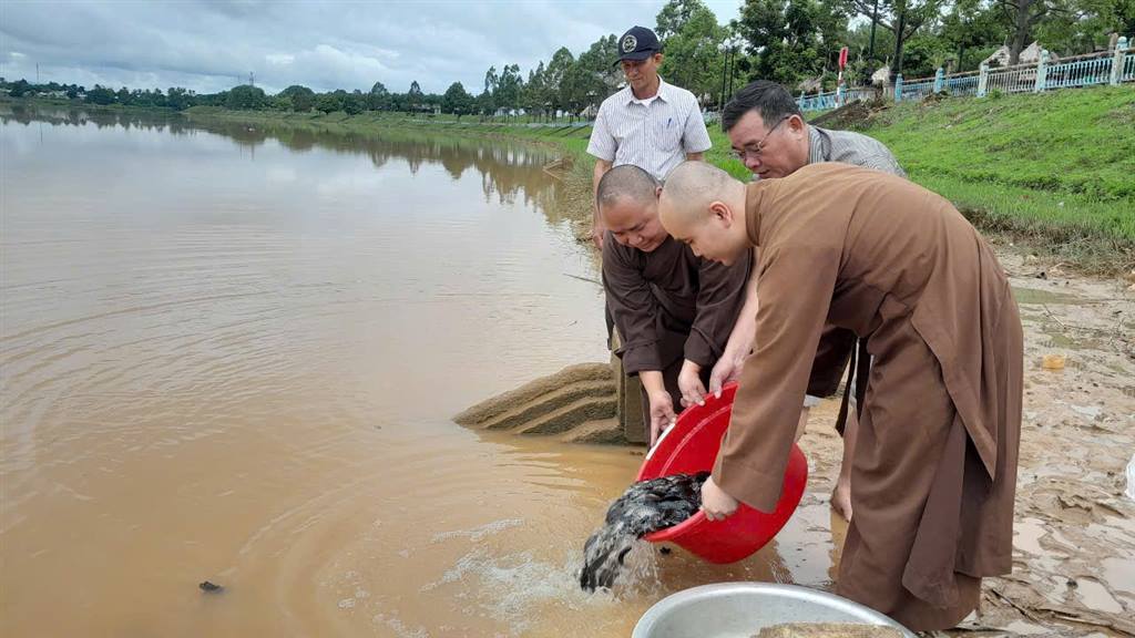 Lễ thả cá giống tái tạo nguồn lợi thuỷ sản
