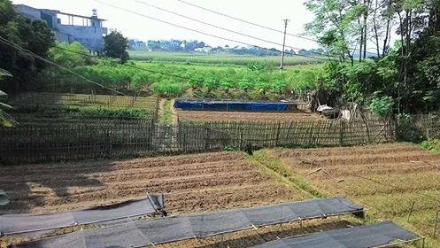 Xây dựng nông thôn mới: Phát huy vai trò trung tâm của Hội Nông dân