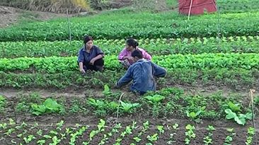 Tích cực hỗ trợ nông dân phát triển kinh tế  ​