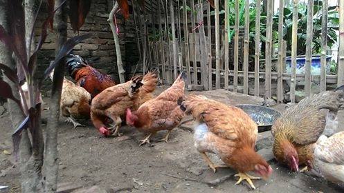  Đẩy mạnh thực hiện các phong trào thi đua