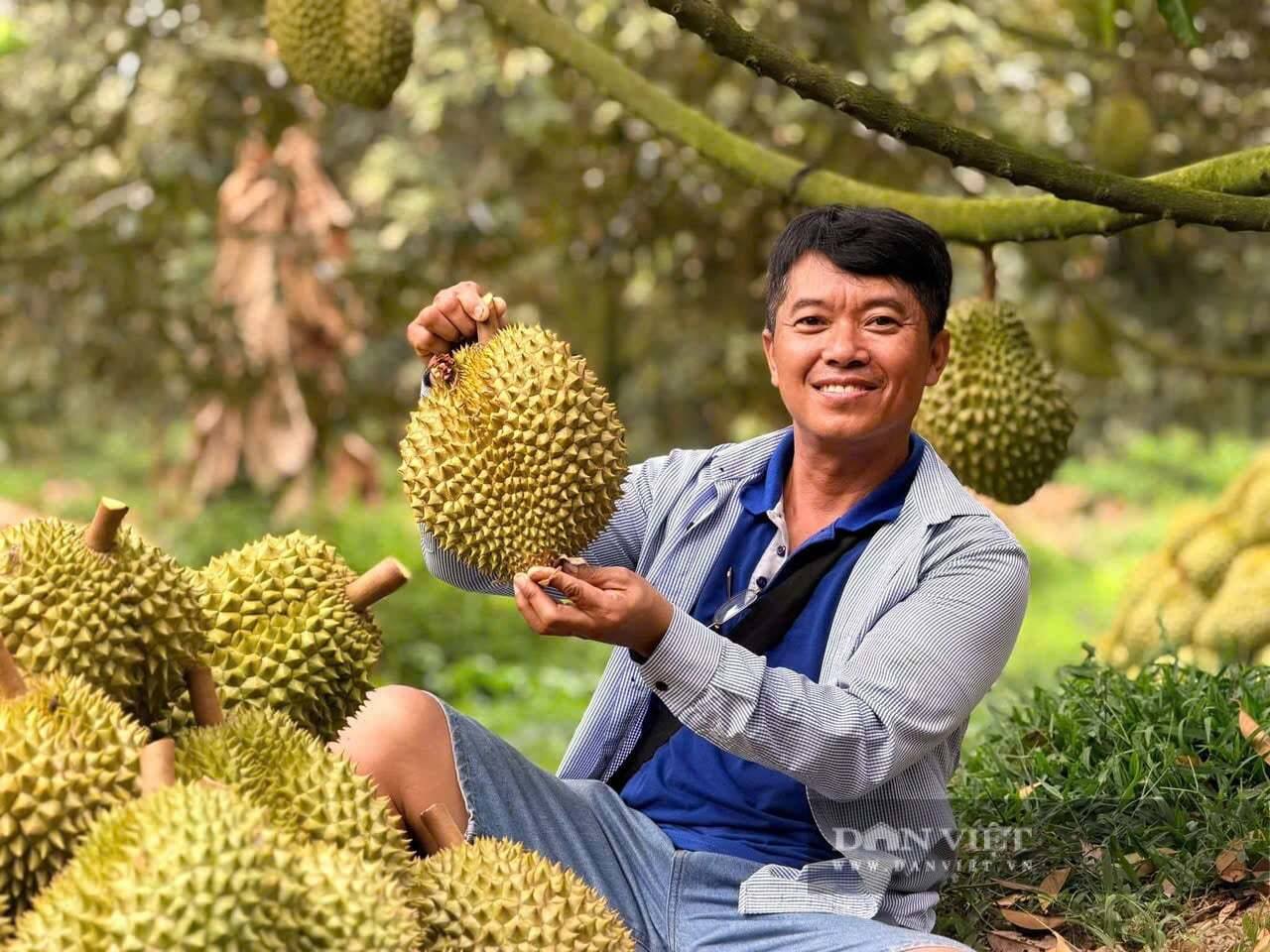 Đây là kiểu một nông dân ở Cần Thơ bán sầu riêng giá 60.000 đồng/kg, đắt gấp đôi thị trường, ấy thế mà vẫn hết veo 