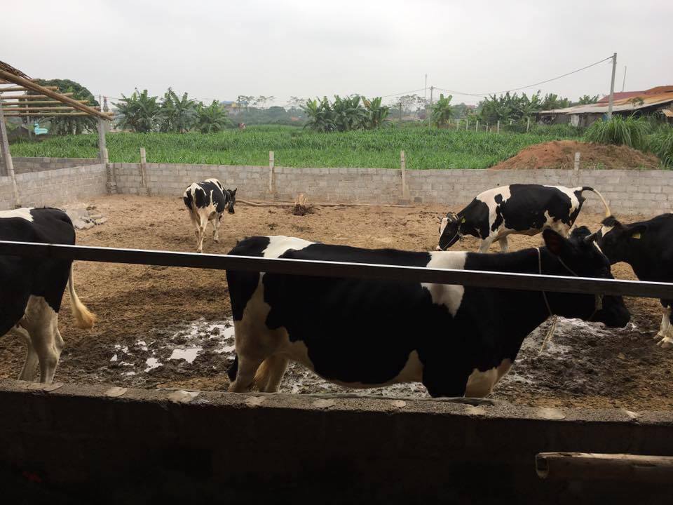 Tập trung xây dựng Hội trong sạch, vững mạnh