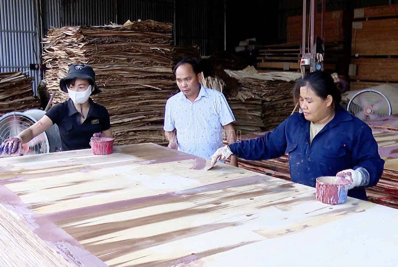 Hội viên nông dân phát triển kinh tế lâm nghiệp, giúp nhau làm giàu và giảm nghèo vững