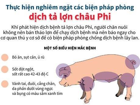 Tập trung lãnh đạo, chỉ đạo triển khai đồng bộ, quyết liệt các biện pháp cấp bách phòng, chống dịch tả lợn châu Phi