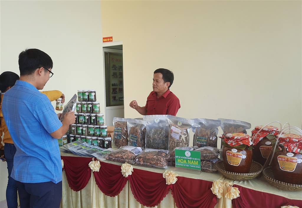 Hạt nhân của kinh tế tư nhân ở nông thôn