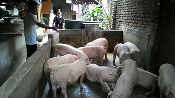Phát huy vai trò chủ thể, trung tâm của nông dân trong phát triển nông nghiệp, kinh tế nông thôn