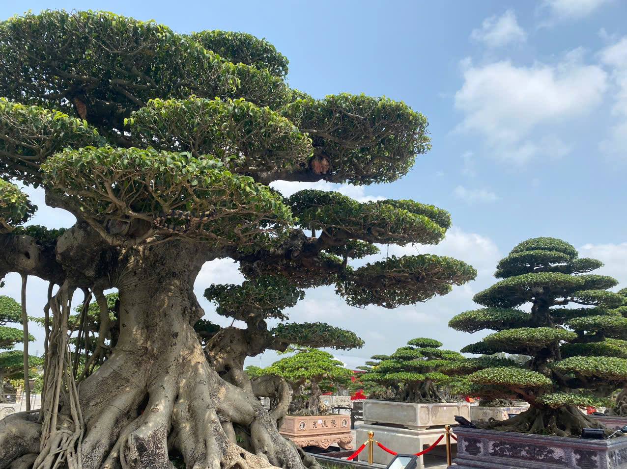 Đột phá xây dựng tổ chức Hội vững mạnh, vì lợi ích nhà nông