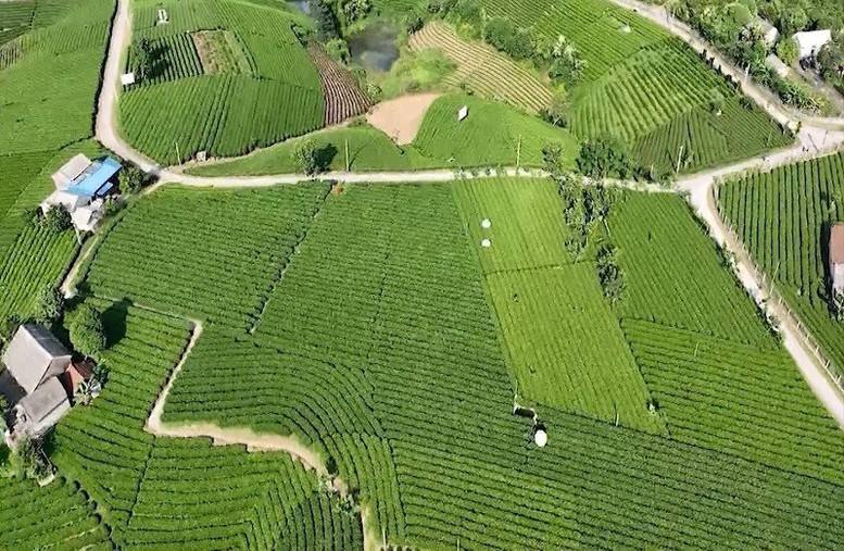 4 huyện về đích nông thôn mới