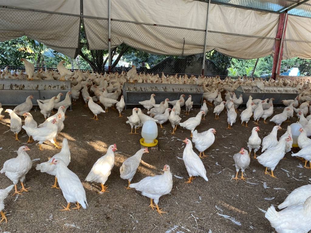 Phong trào sản xuất, kinh doanh giỏi tạo động lực để nông dân làm giàu  ​
