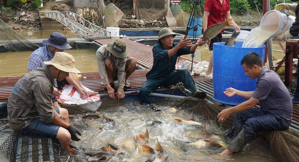 Bắc Ninh: 73.537 hộ đạt danh hiệu sản xuất, kinh doanh giỏi các cấp