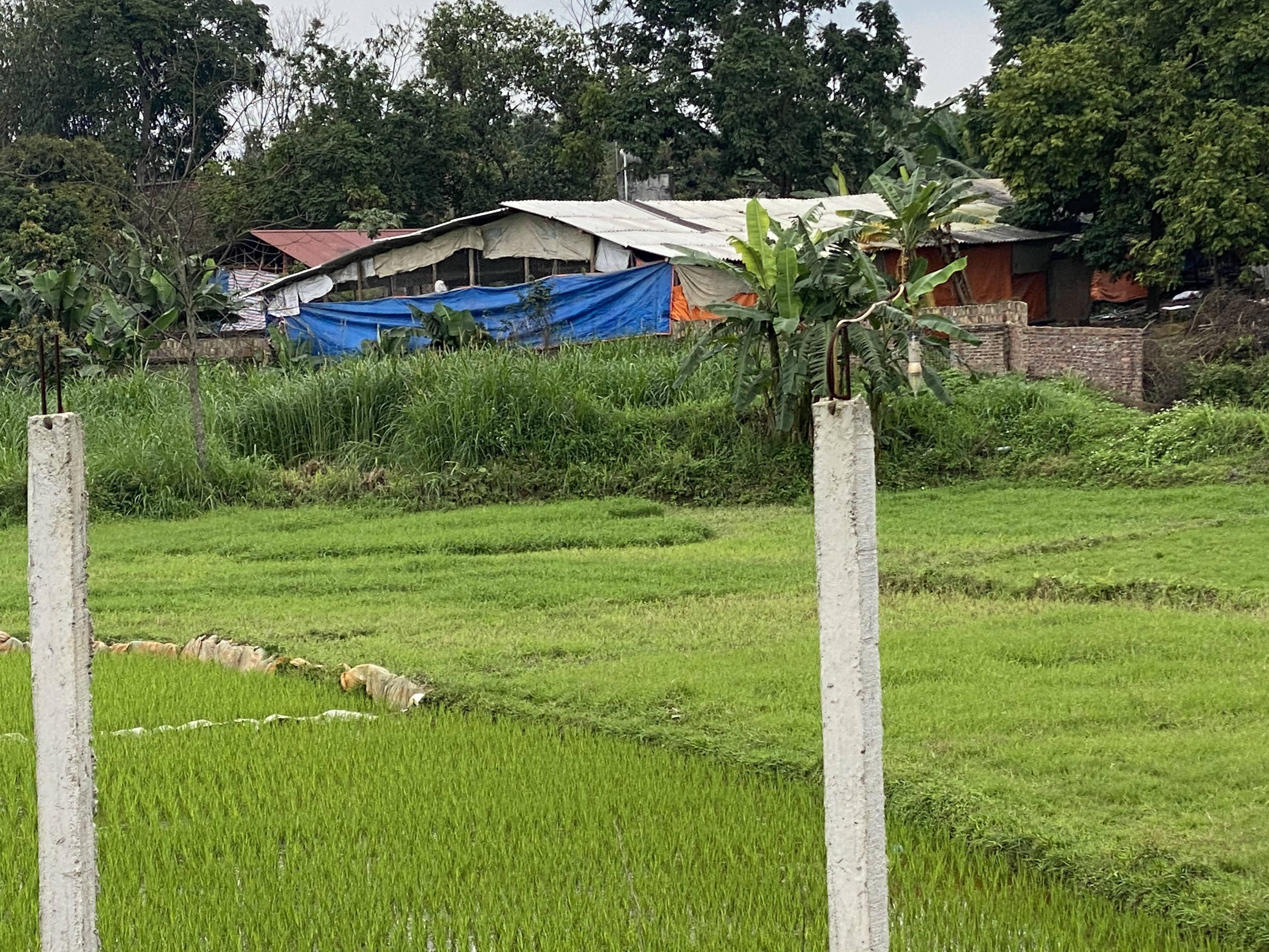 Xây dựng Hội Nông dân Việt Nam trong sạch, vững mạnh