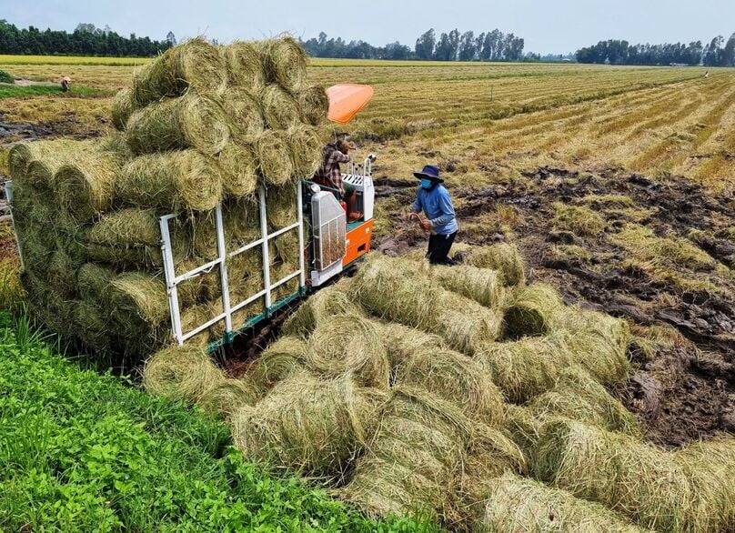 Kinh tế tuần hoàn trong nông nghiệp: Xu thế tất yếu