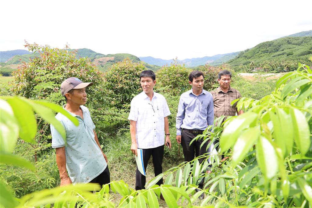 Người “thuần hóa” rau rừng trên đất lúa khô hạn