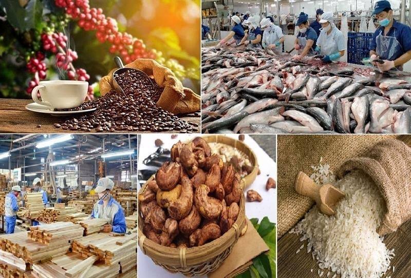 Kim ngạch xuất khẩu nông, lâm, thủy sản 7 tháng: Tăng trưởng tích cực từ các mặt hàng chủ lực, đạt gần 40 tỷ USD