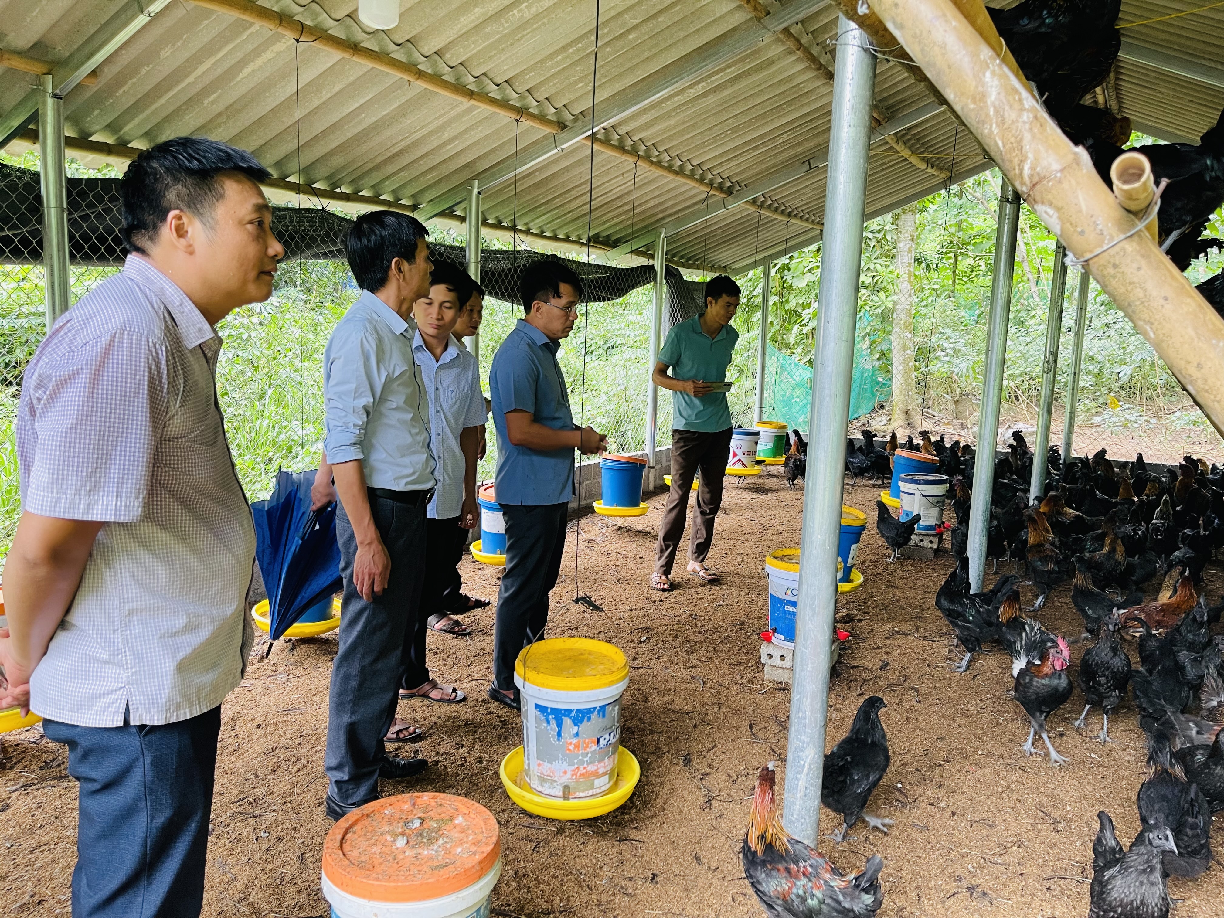 Xã Hùng An (Tuyên Quang) nâng cao chất lượng vệ sinh môi trường trong phát triển chăn nuôi