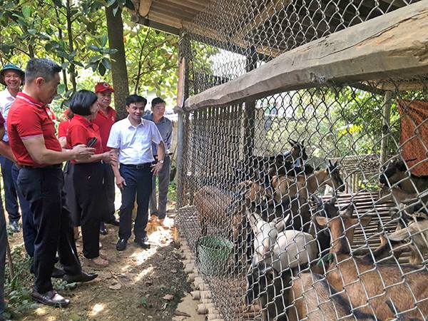 Xã vùng biên chuyển mình từ sản xuất nông hộ