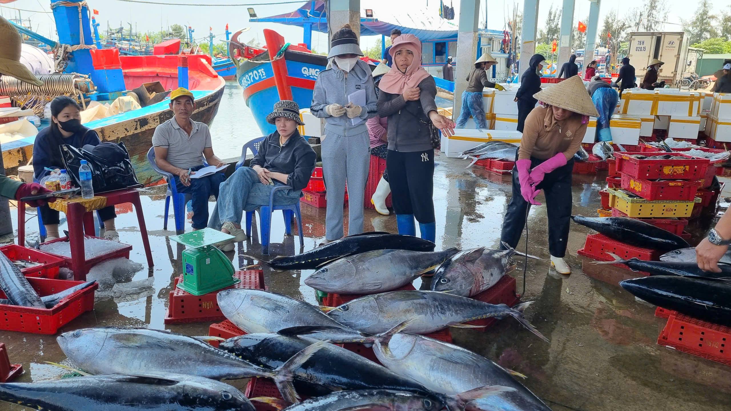 Tàu cá Quảng Ngãi bội thu hải sản, ngư dân phấn khởi sau chuyến biển xa