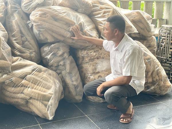 Làm giàu từ xơ mướp của anh nông dân xứ Quảng