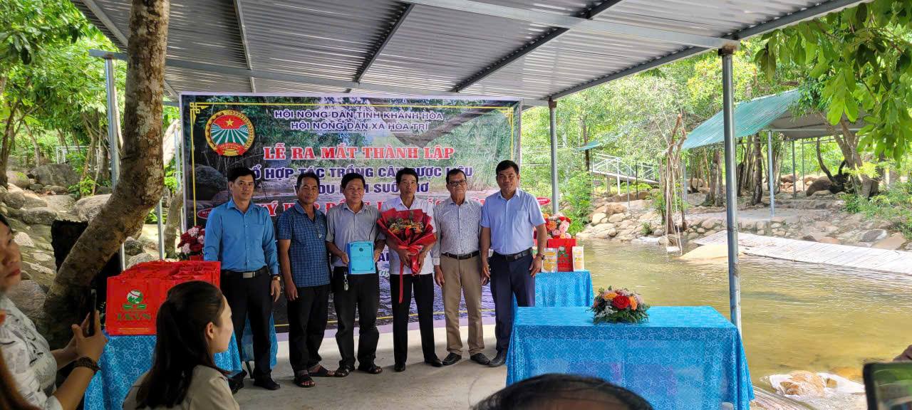Ra mắt “Tổ hợp tác Trồng cây dược liệu và du lịch Suối Mơ” 