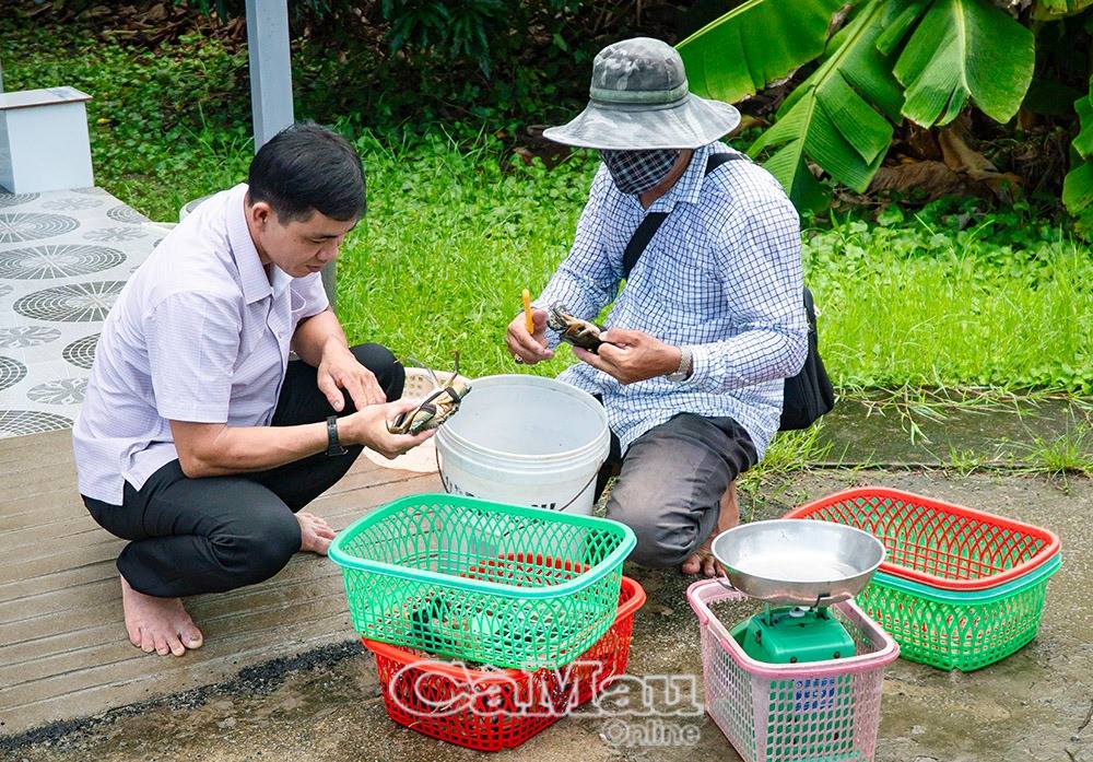 Cua Cà Mau lên sàn thương mại điện tử