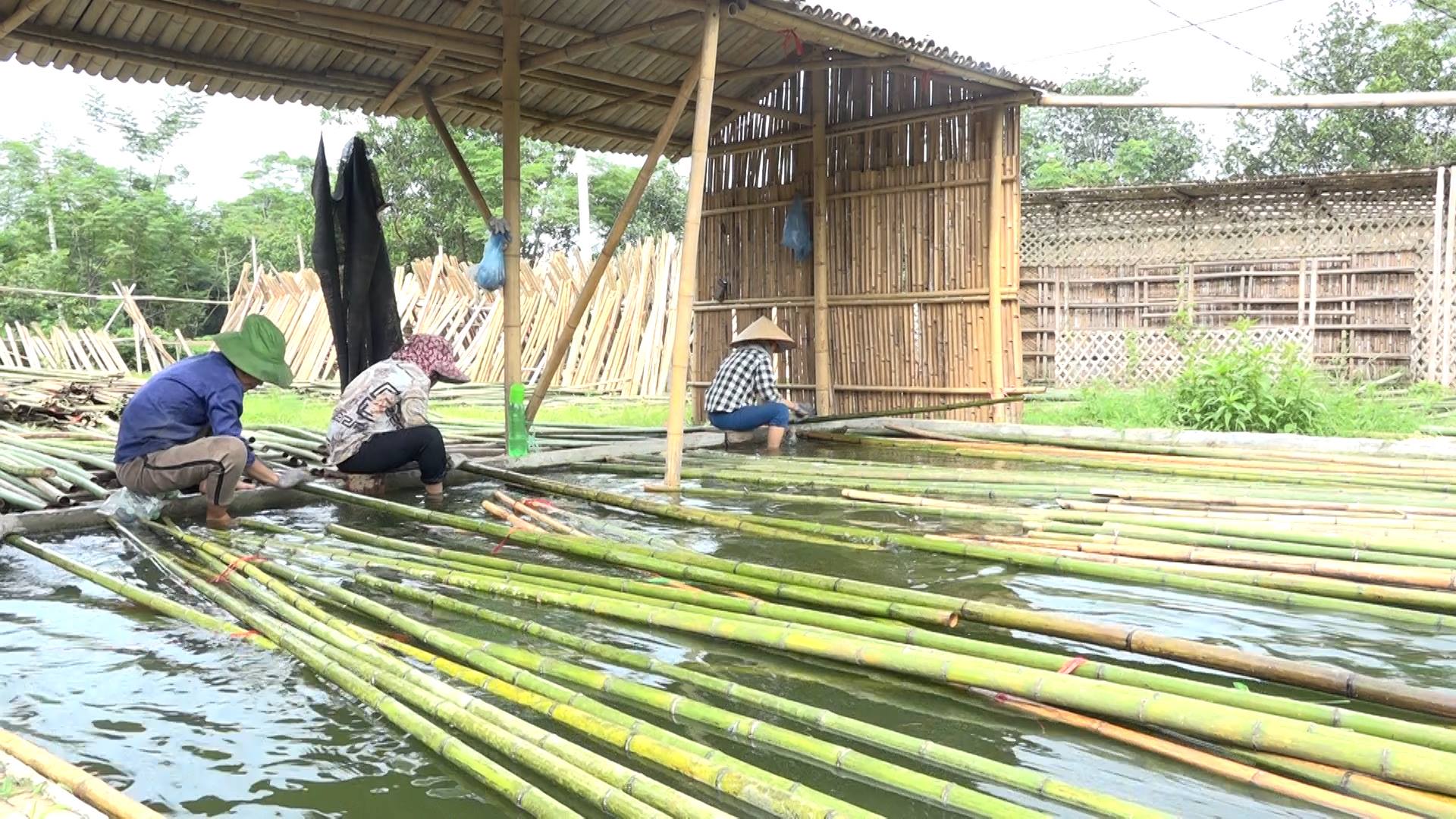 Nông dân Đồng Lương đổi mới tư duy, vươn lên làm giàu từ phong trào sản xuất giỏi