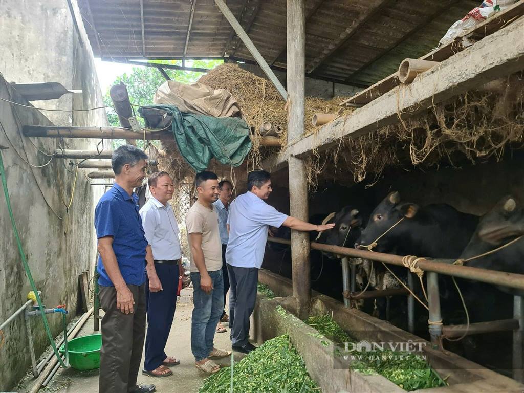 Hội Nông dân Thanh Hóa gắn kết hội viên qua chi, tổ Hội nghề nghiệp, nông dân khá giả hẳn lên