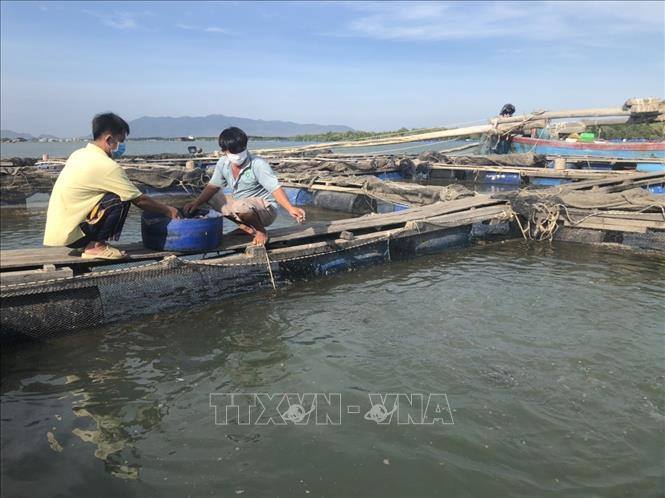 Một xã đảo nổi tiếng ở TPHCM sau sáp nhập có "Tuyến đường thanh toán không dùng tiền mặt"