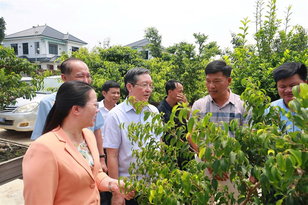 Đại hội Đảng bộ T.Ư Hội Nông dân Việt Nam lần thứ I nhiệm kỳ 2025-2030: Đoàn kết-Dân chủ-Kỷ cương-Đổi mới-Phát triển 