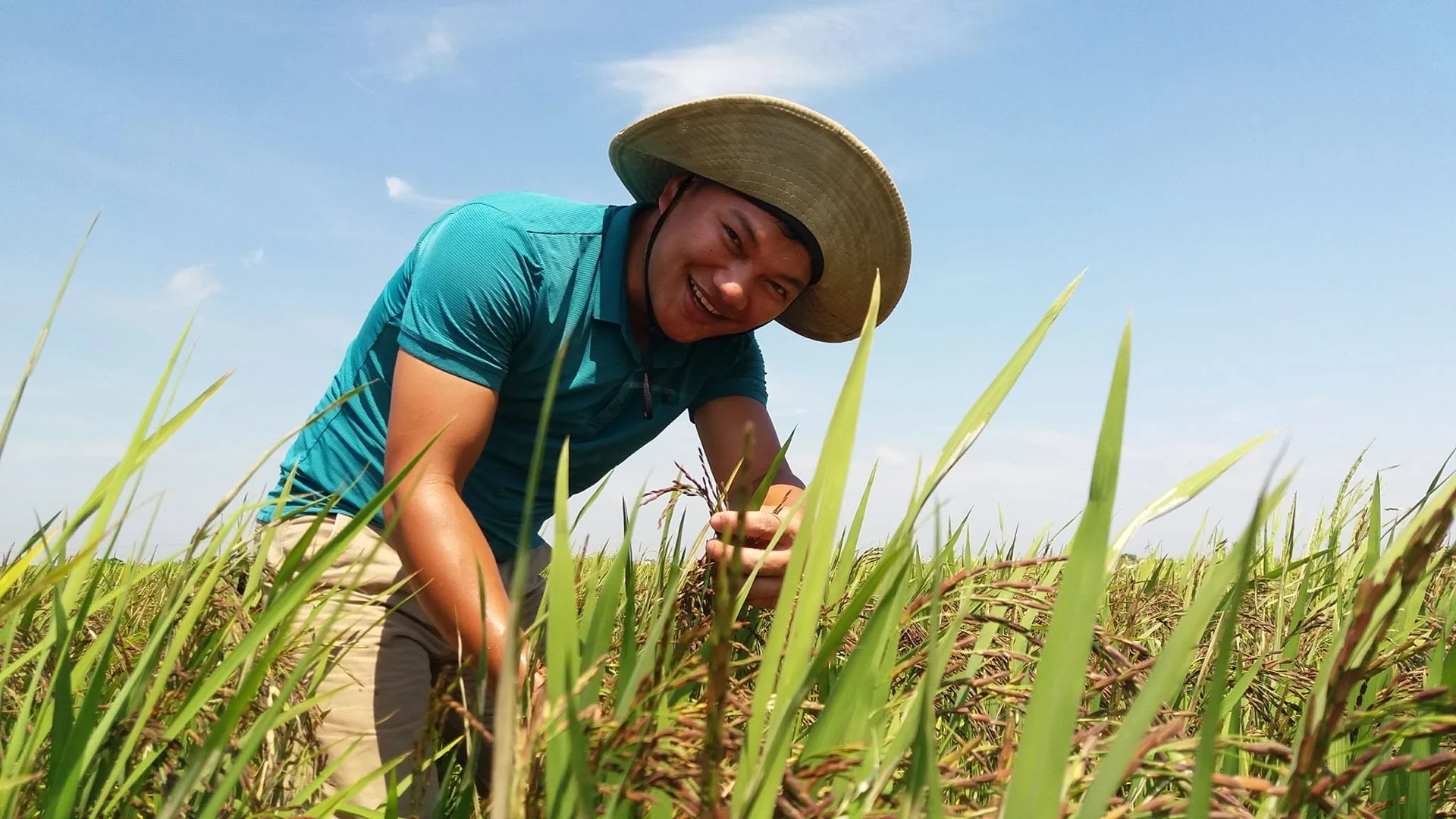 Không ngâm ủ, chỉ cần "đánh thức" hạt giống lúa trước khi gieo, anh kỹ sư Ninh Bình giảm đáng kể chi phí sản xuất