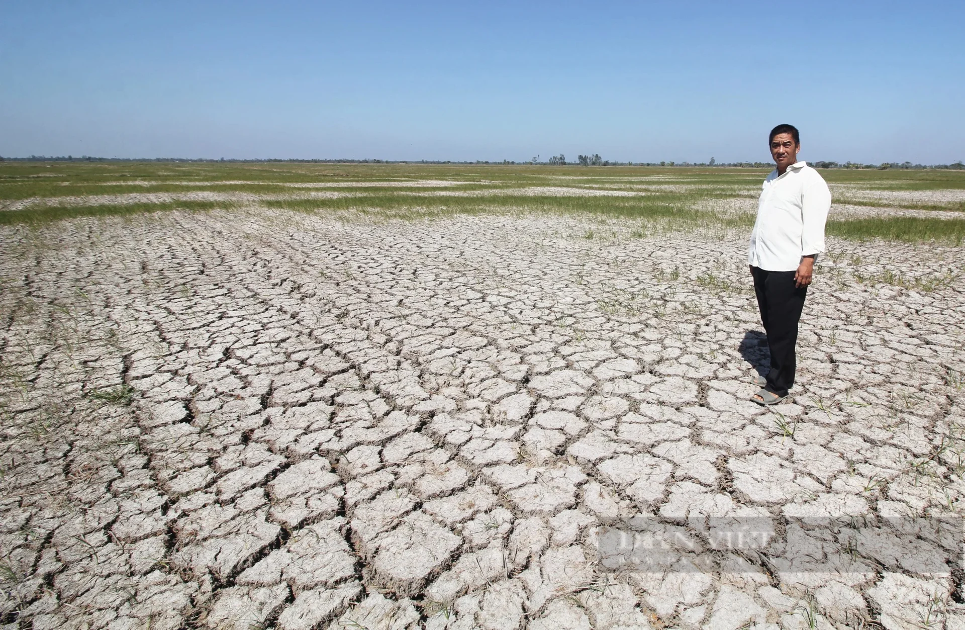 Dự báo El Nino mạnh nhất từ năm 1950 tới nay, nhiệt độ tháng 10-12 cao hơn 1-2 độ C so với trung bình nhiều năm
