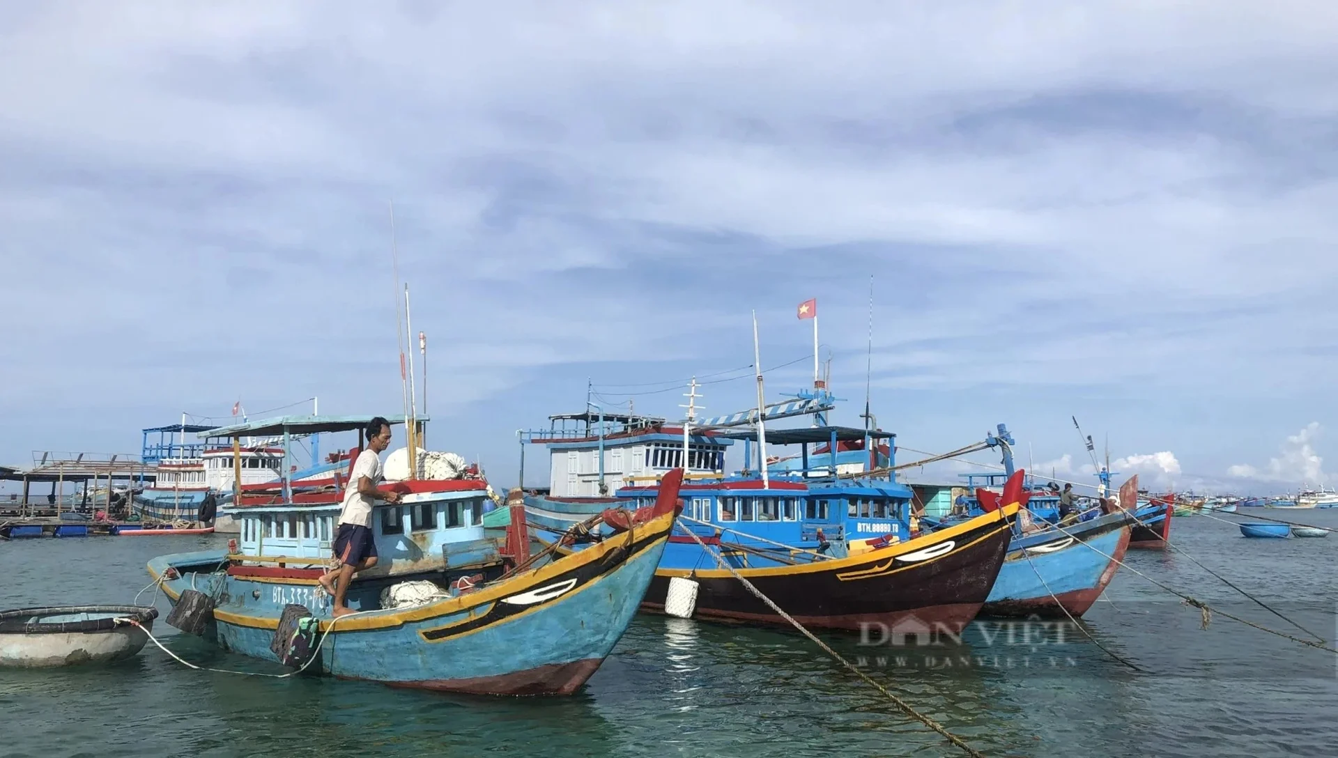 Bộ Nông nghiệp và Môi trường tăng cường công tác kiểm soát tàu nước ngoài, ngăn chặn nạn khai thác thủy sản bất hợp pháp 