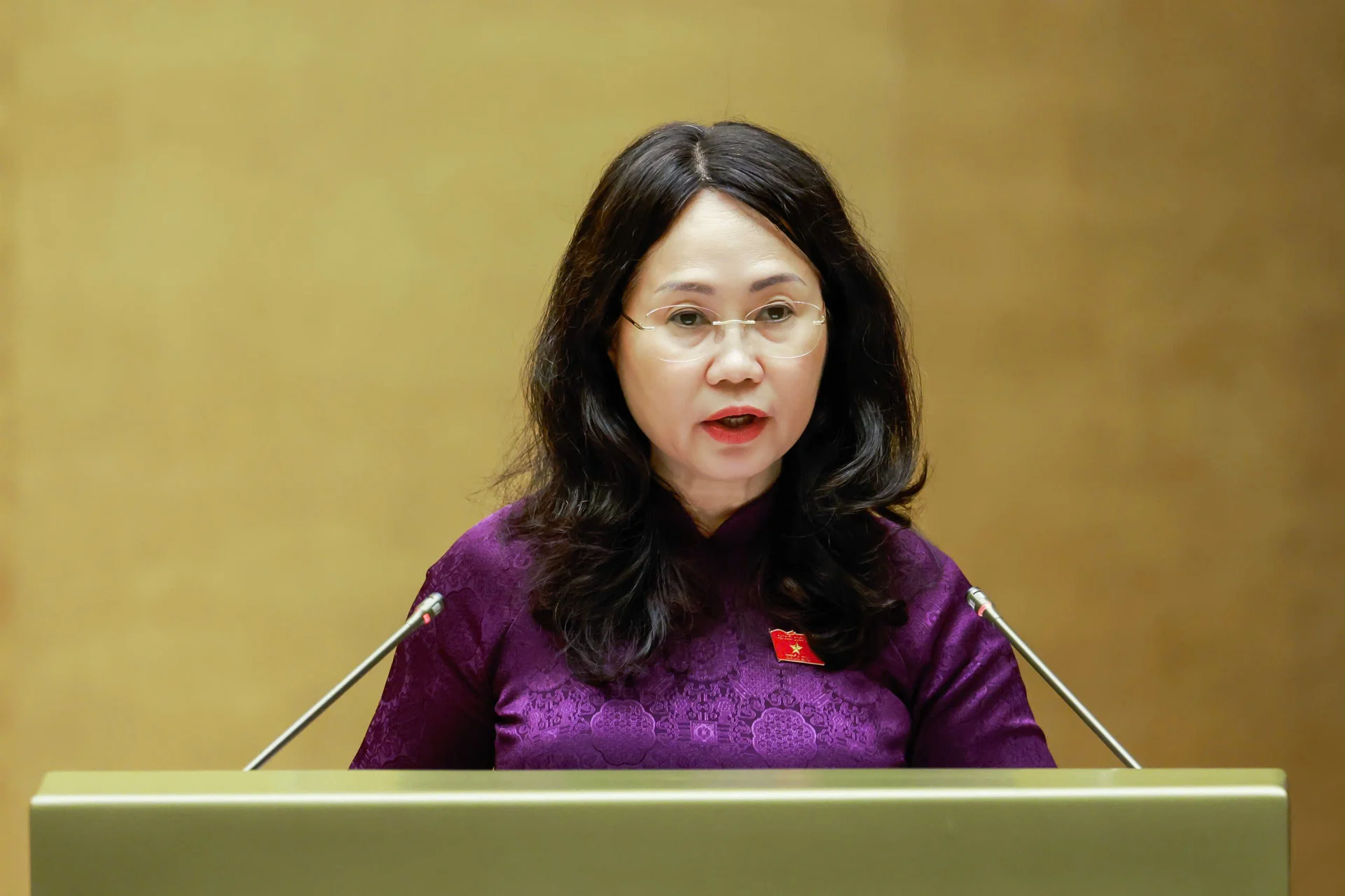 Bộ trưởng Lâm Thị Phương Thanh nêu việc 'kiểm soát' xuất bản sách lịch sử cách mạng, lãnh tụ, lãnh đạo đất nước