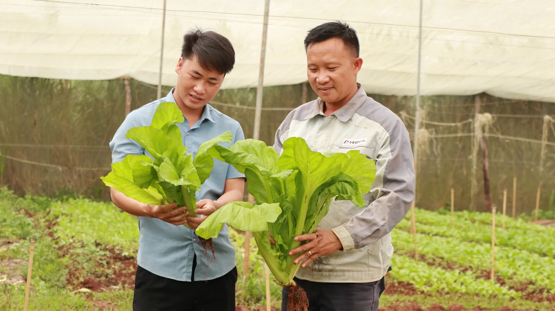 Chia sẻ gan ruột của một nông dân Việt Nam xuất sắc: Người nông dân mới phải thấu hiểu đất đai và như một... doanh nhân 