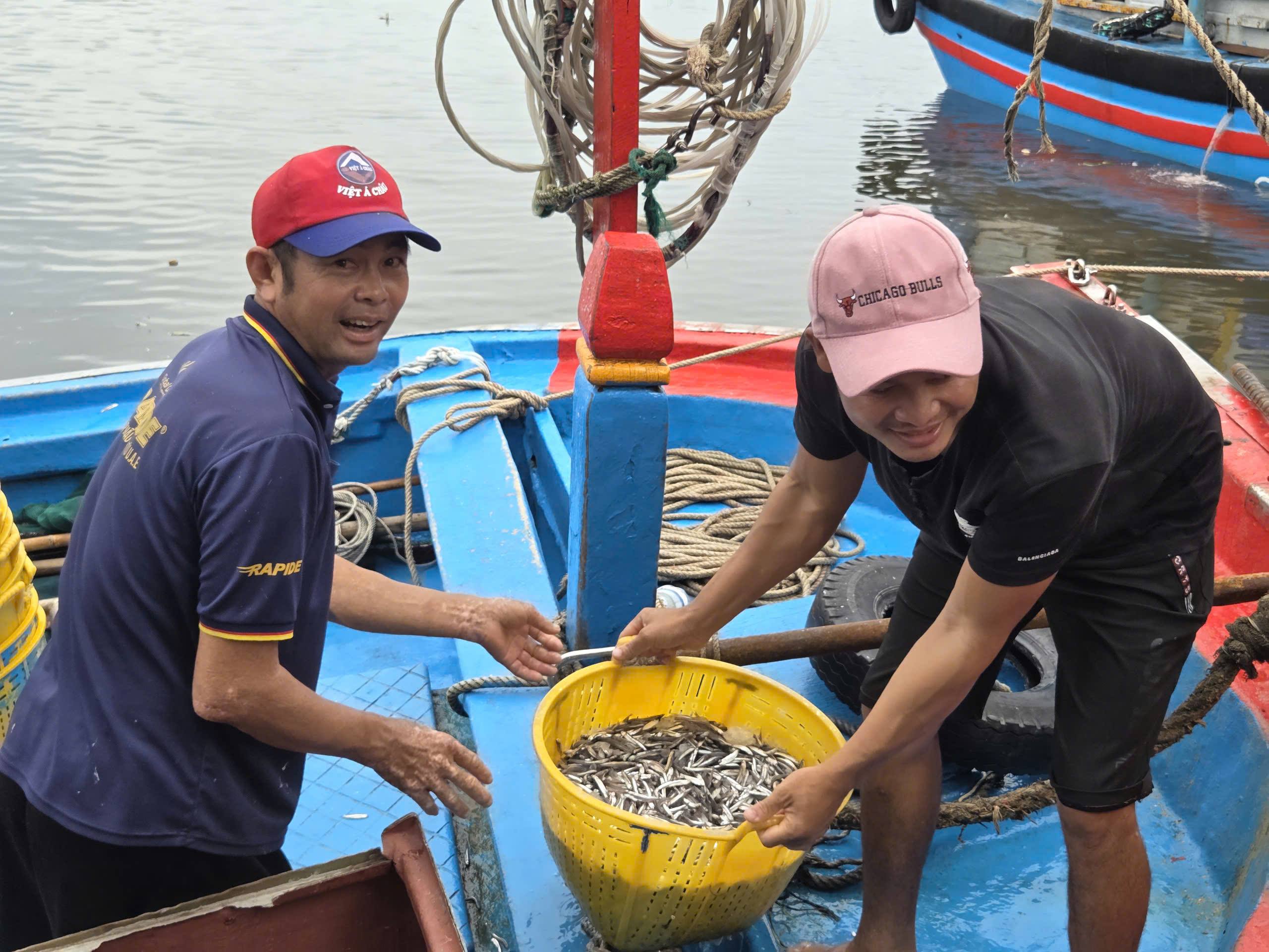 Được mùa, được giá: Ngư dân trúng đậm sau mỗi chuyến biển