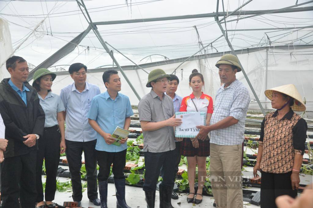 Hội Nông dân Việt Nam triển khai chỉ đạo của Tổng Bí thư Tô Lâm về việc khắc phục hậu quả mưa lũ 