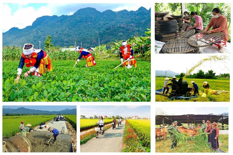 Chương trình công tác của BCĐ Trung ương thực hiện các Chương trình mục tiêu quốc gia