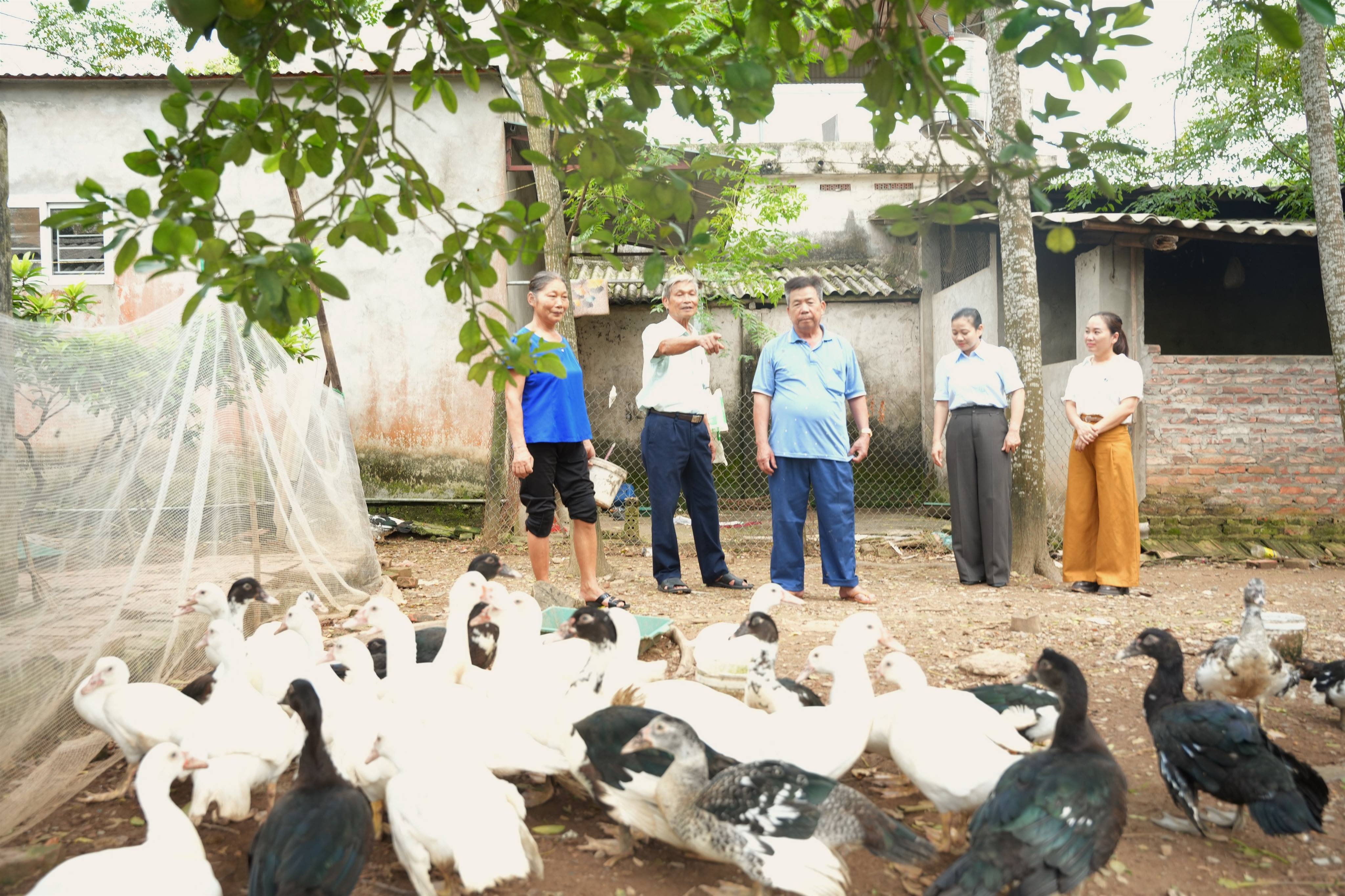 Làm giàu không khó nhờ phát triển mô hình chăn nuôi tổng hợp