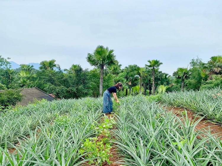 Đưa Nghị quyết Hội Nông dân, tạo động lực mở hướng nông dân làm giàu