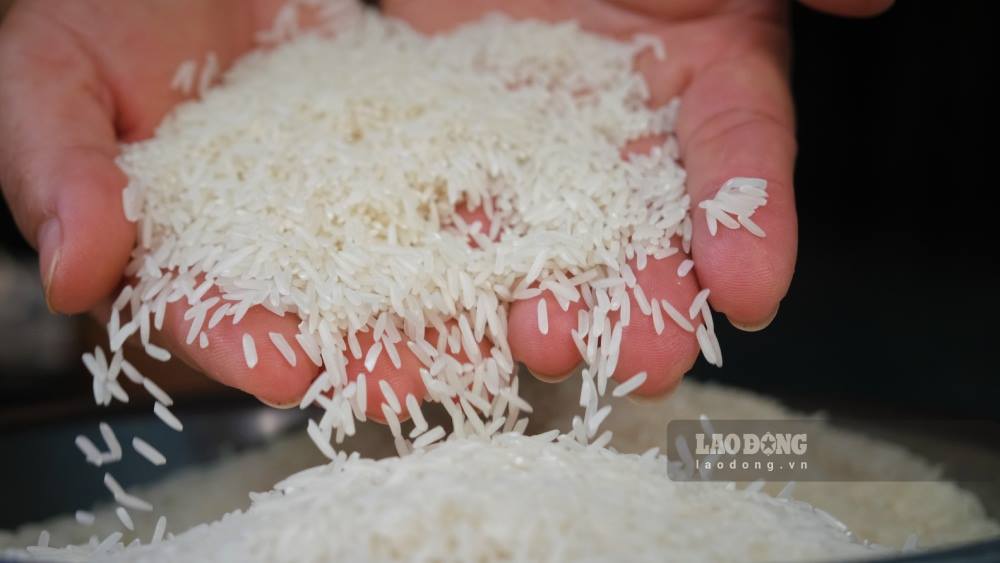 Quy định mới về chứng nhận gạo thơm xuất khẩu sang EU và UK