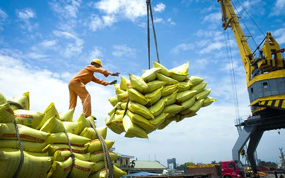 Thị trường xuất khẩu ổn định, cạnh tranh khu vực của gạo Việt Nam vẫn được duy trì tốt 