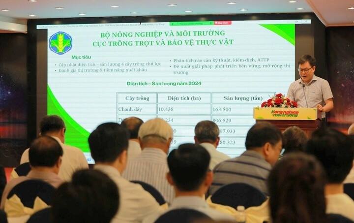 Chọn mũi nhọn mới cho trái cây xuất khẩu