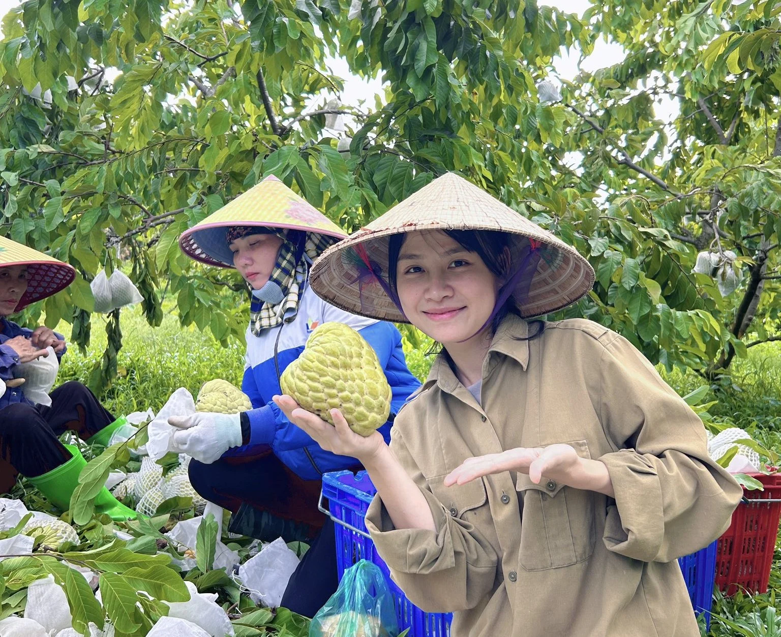 Anh-tin-bai