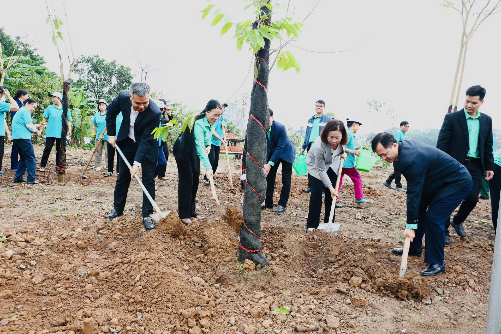 Anh-tin-bai