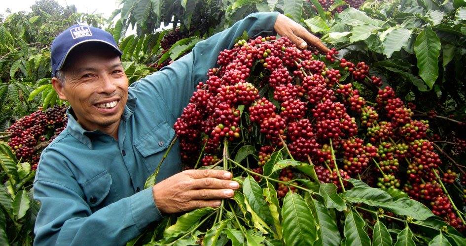 Nông nghiệp phát thải thấp: Động lực mới nâng sức cạnh tranh cho nông sản