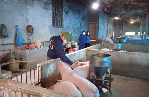 Hiệu quả từ việc chăn nuôi theo hướng an toàn sinh học 